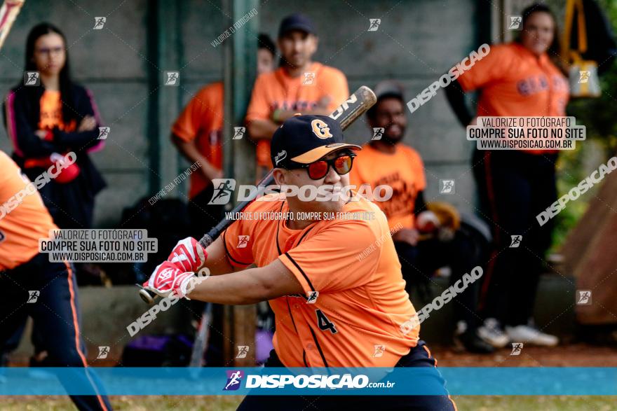 XXXII Brasileirão de Softbol