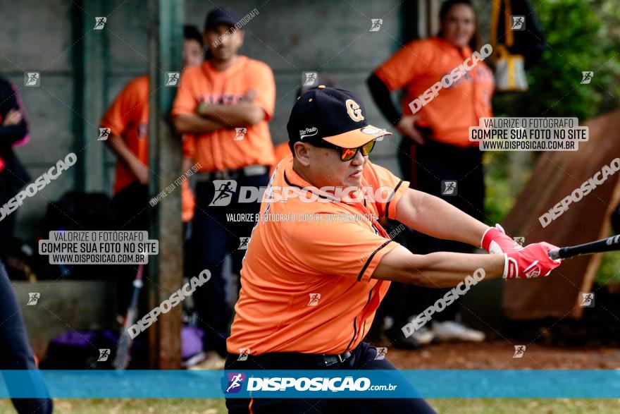 XXXII Brasileirão de Softbol