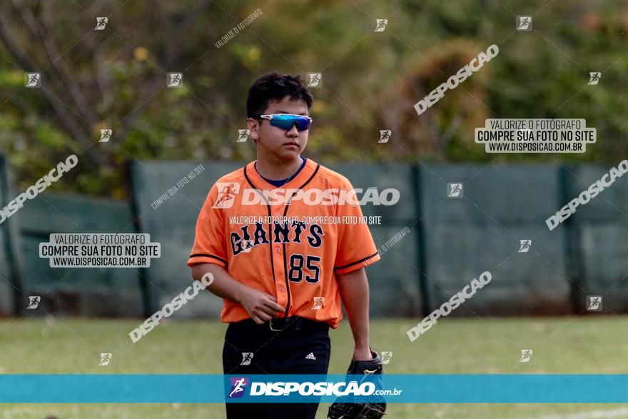 XXXII Brasileirão de Softbol