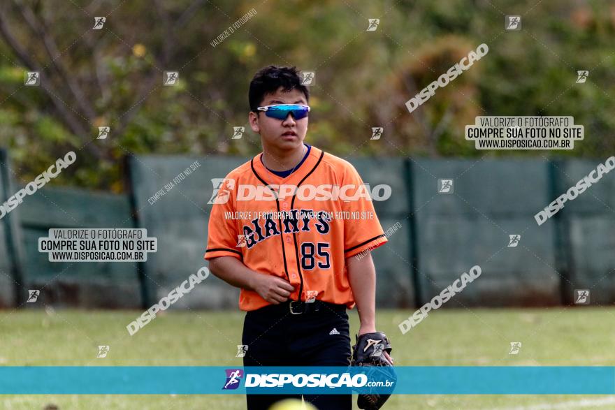 XXXII Brasileirão de Softbol