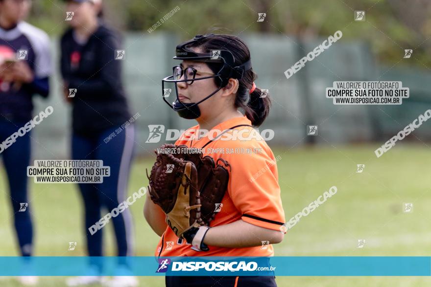 XXXII Brasileirão de Softbol