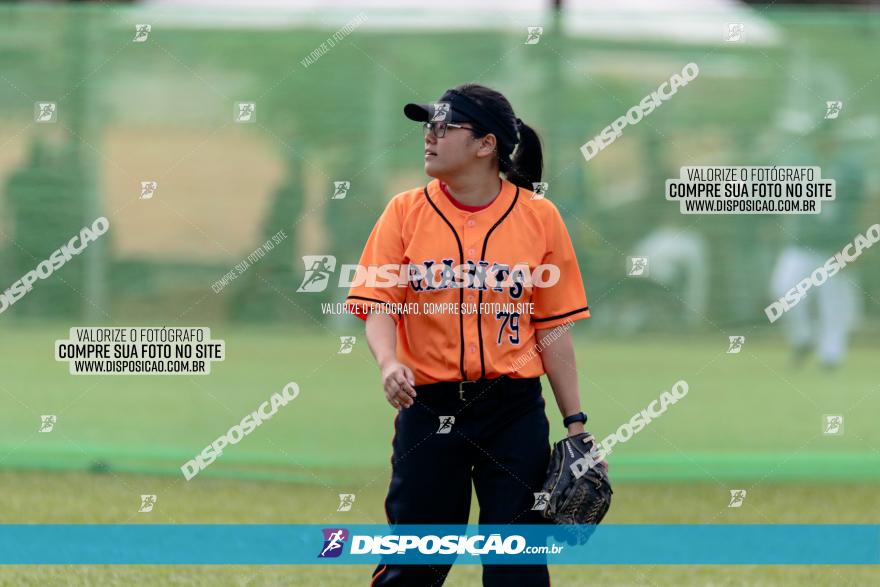 XXXII Brasileirão de Softbol