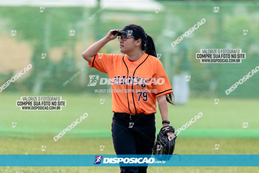 XXXII Brasileirão de Softbol