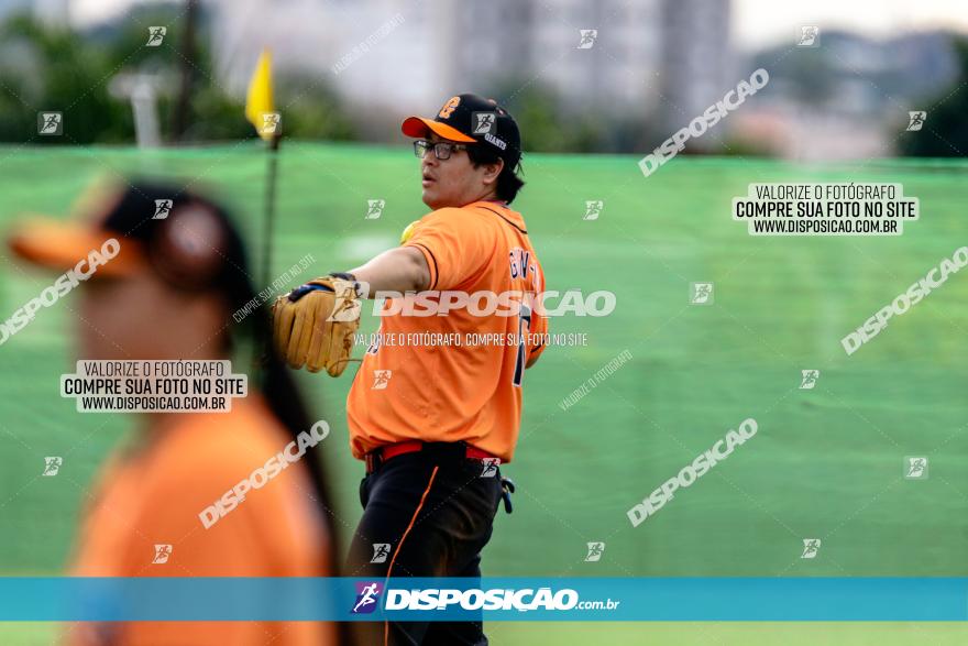 XXXII Brasileirão de Softbol