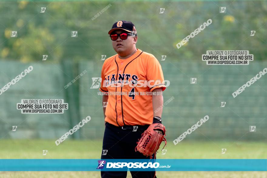 XXXII Brasileirão de Softbol