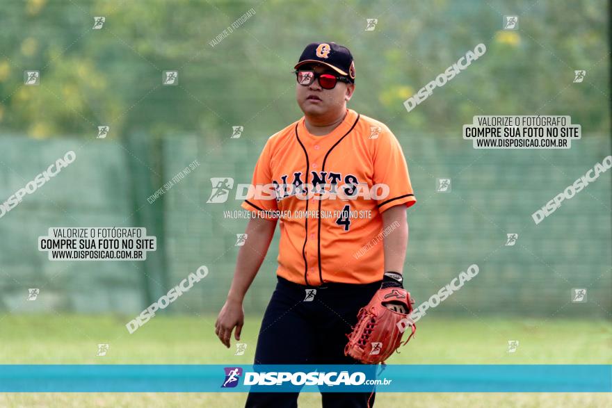 XXXII Brasileirão de Softbol