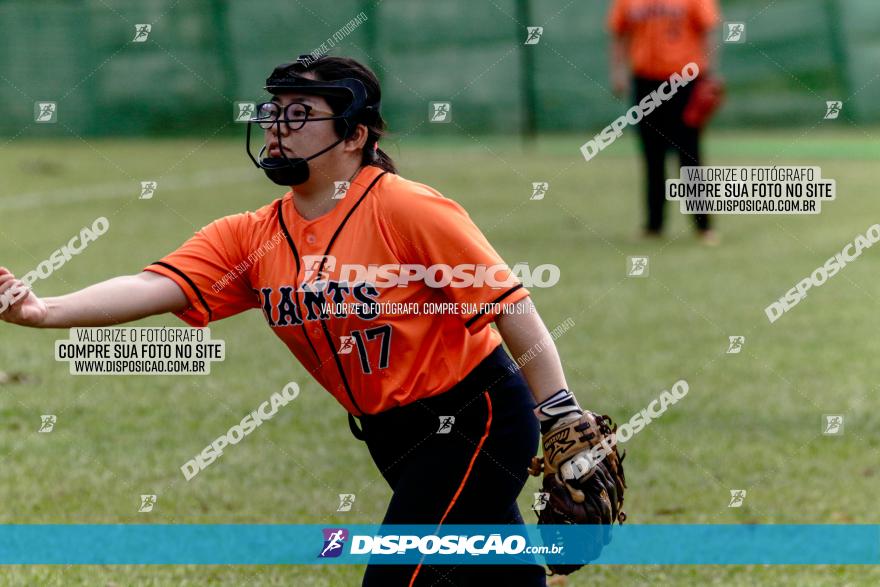 XXXII Brasileirão de Softbol