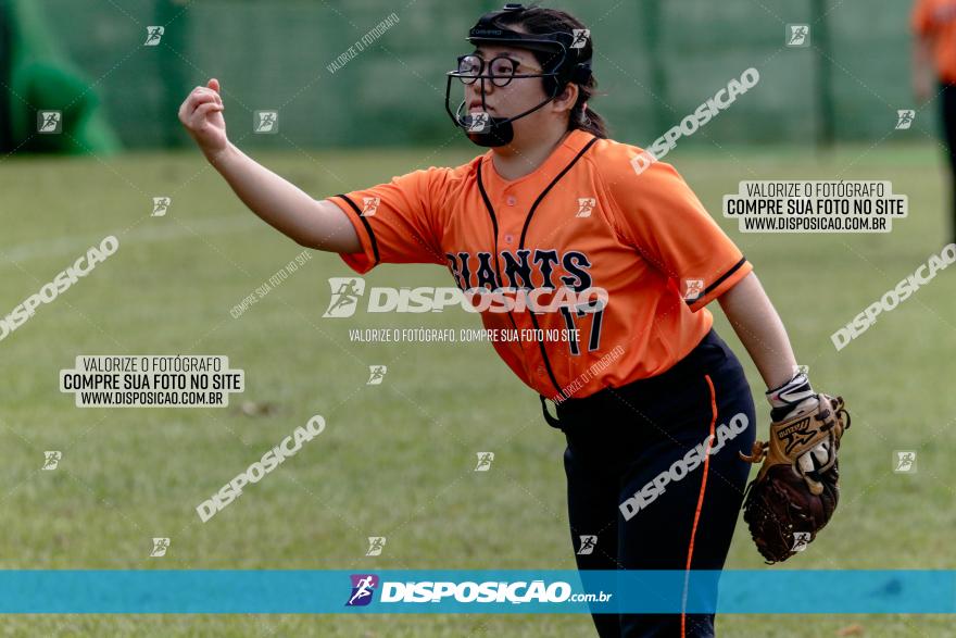 XXXII Brasileirão de Softbol