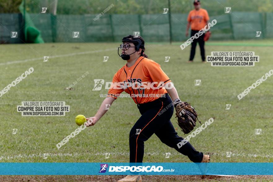 XXXII Brasileirão de Softbol