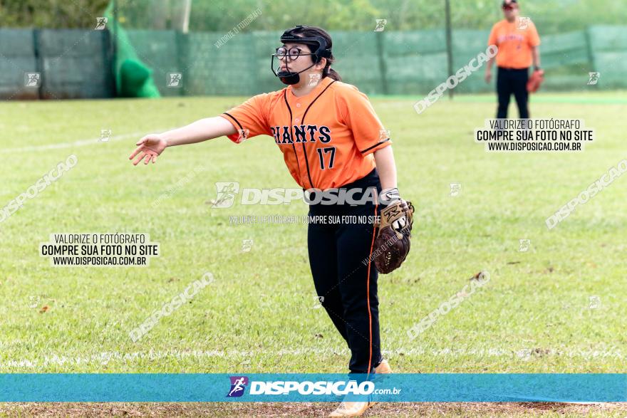 XXXII Brasileirão de Softbol