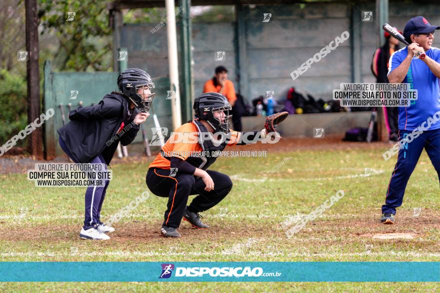 XXXII Brasileirão de Softbol