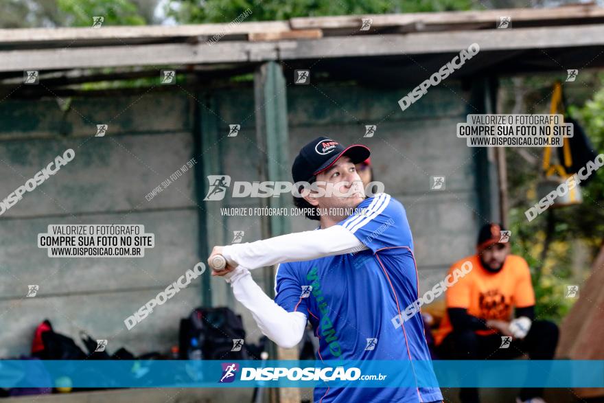 XXXII Brasileirão de Softbol