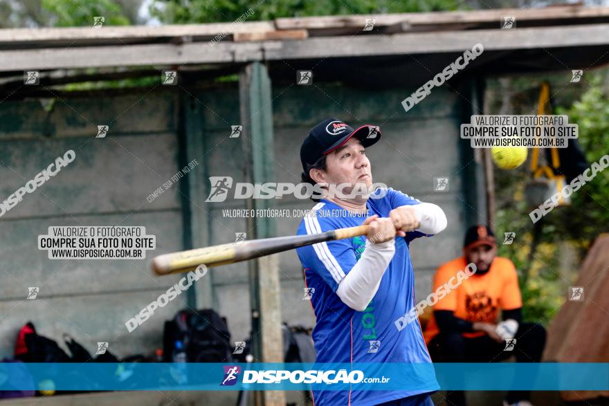 XXXII Brasileirão de Softbol