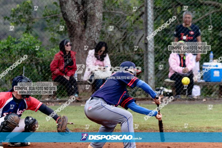 XXXII Brasileirão de Softbol