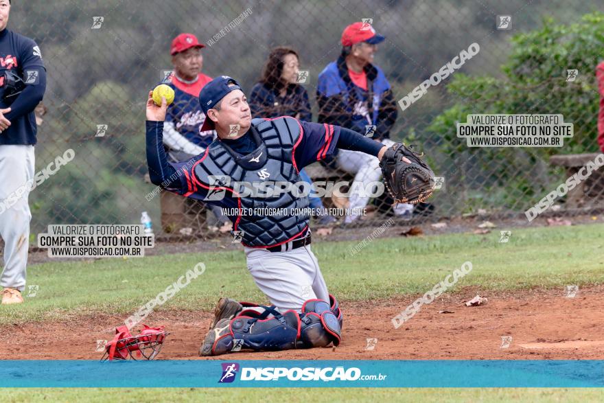 XXXII Brasileirão de Softbol