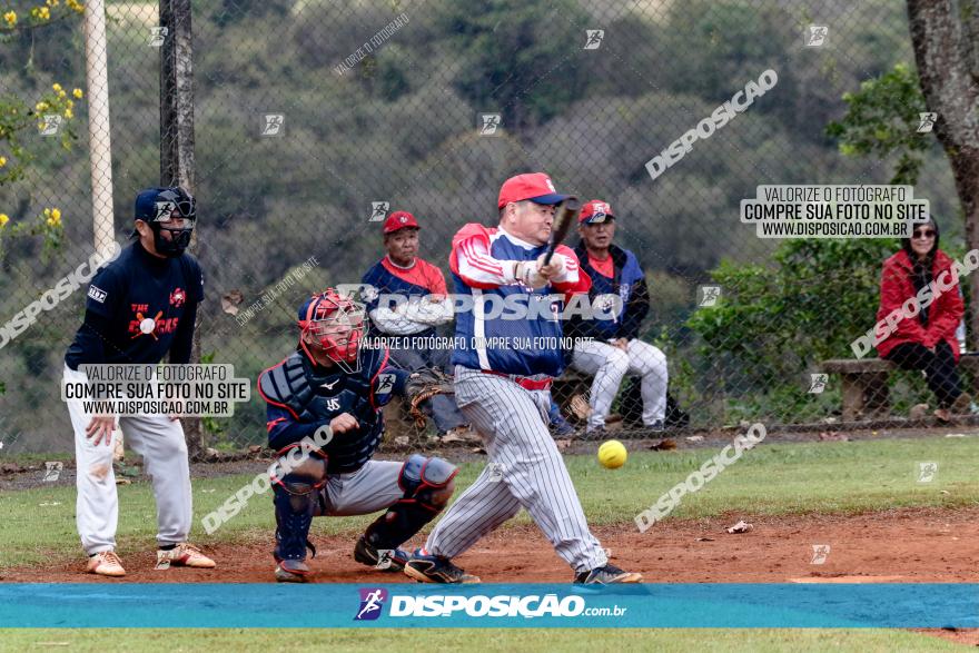 XXXII Brasileirão de Softbol