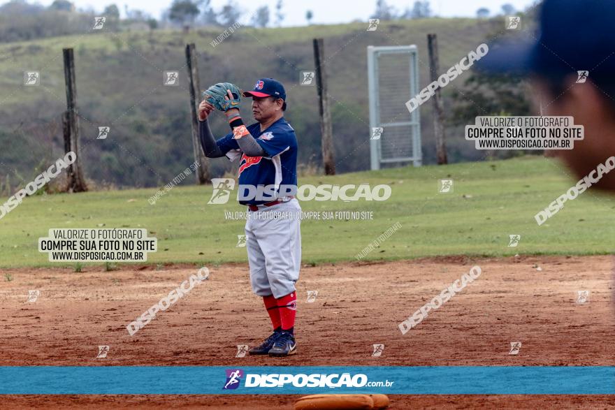 XXXII Brasileirão de Softbol