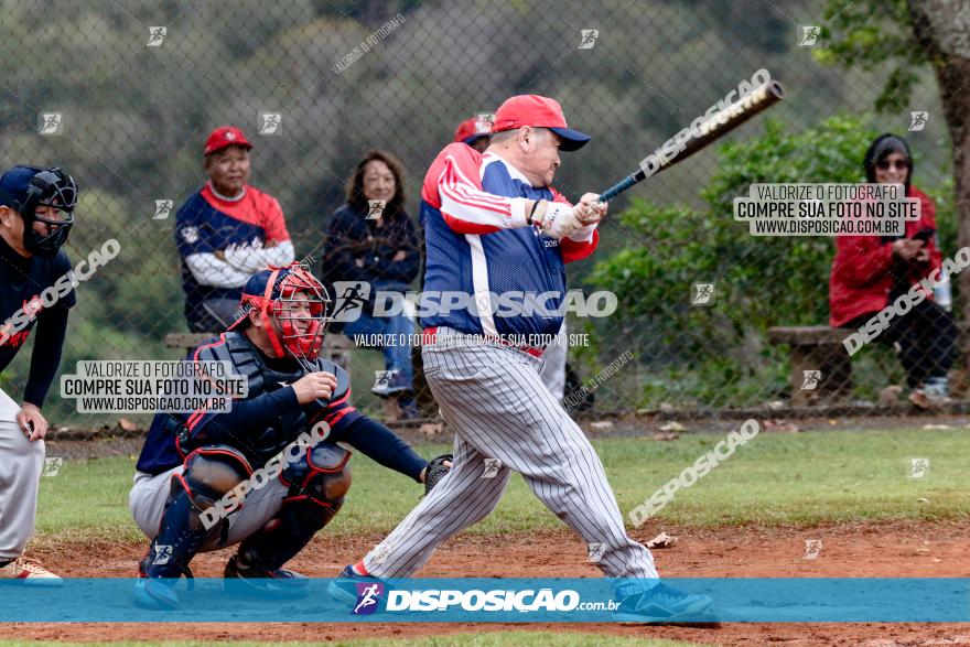 XXXII Brasileirão de Softbol