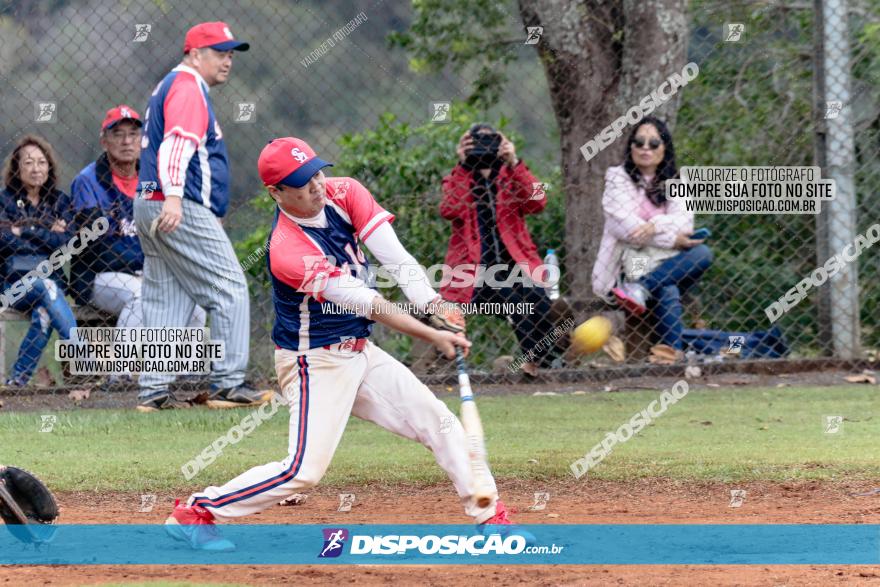 XXXII Brasileirão de Softbol