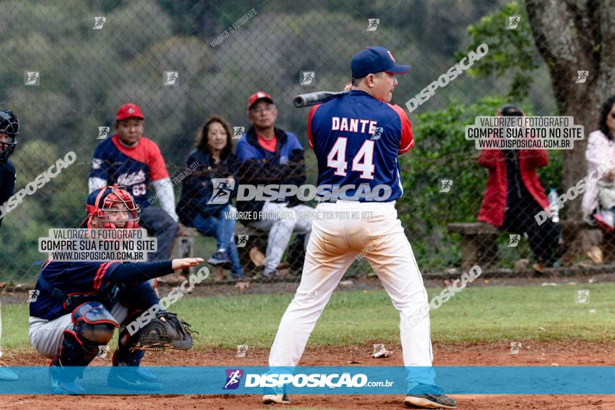 XXXII Brasileirão de Softbol