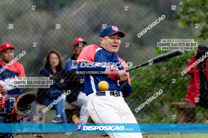 XXXII Brasileirão de Softbol