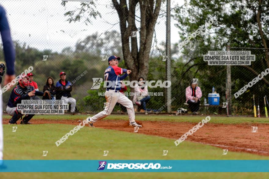 XXXII Brasileirão de Softbol