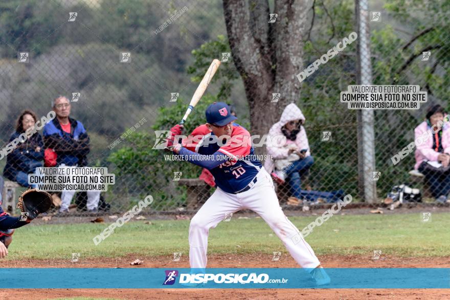 XXXII Brasileirão de Softbol