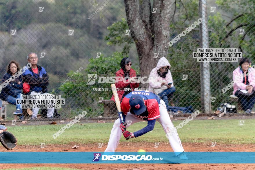 XXXII Brasileirão de Softbol