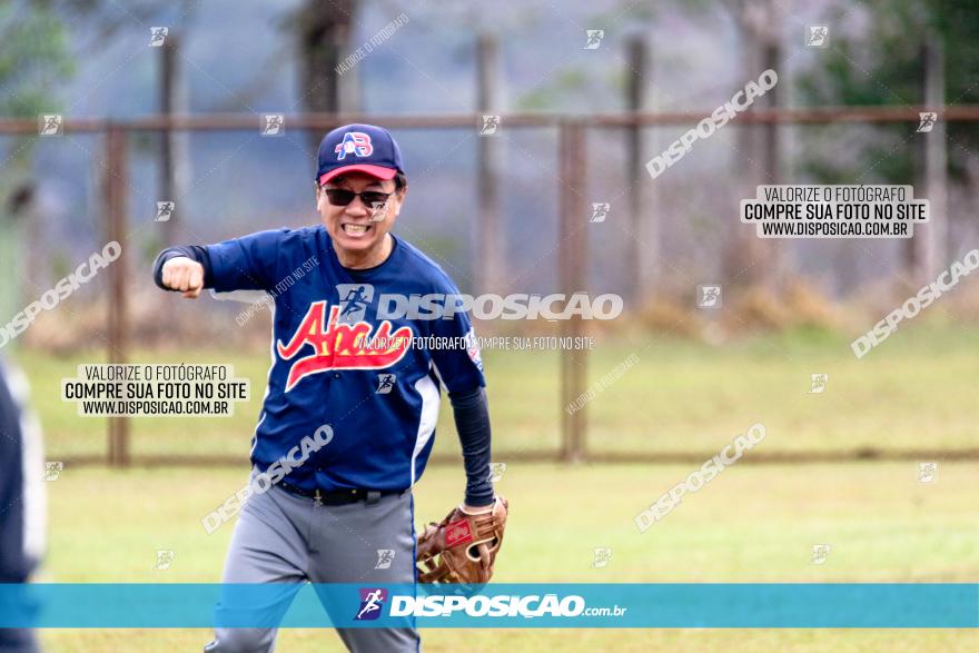 XXXII Brasileirão de Softbol