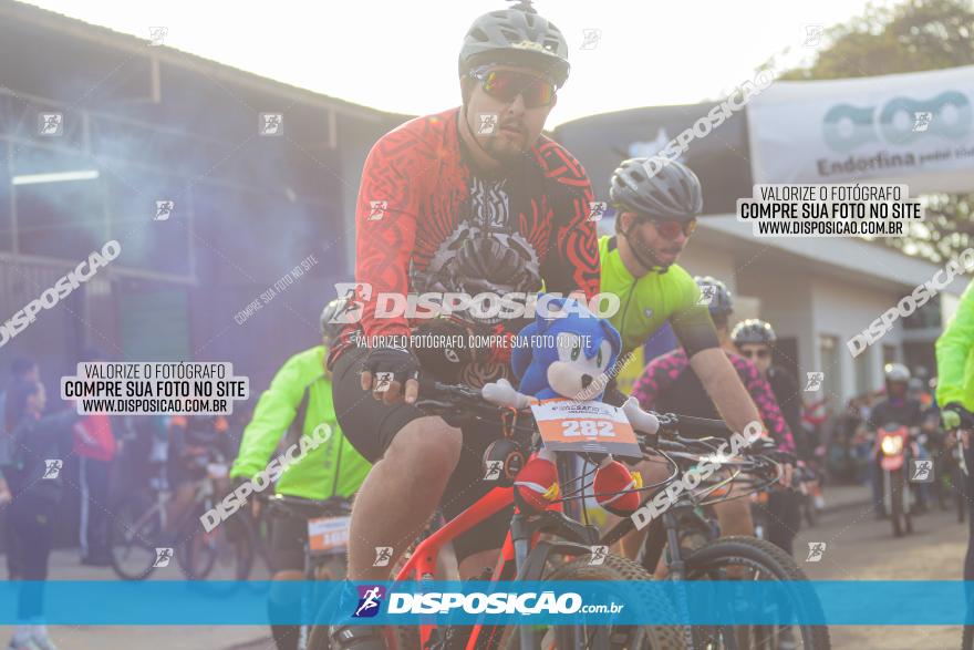 4º DESAFIO SOLIDÁRIO ENDORFINA MTB