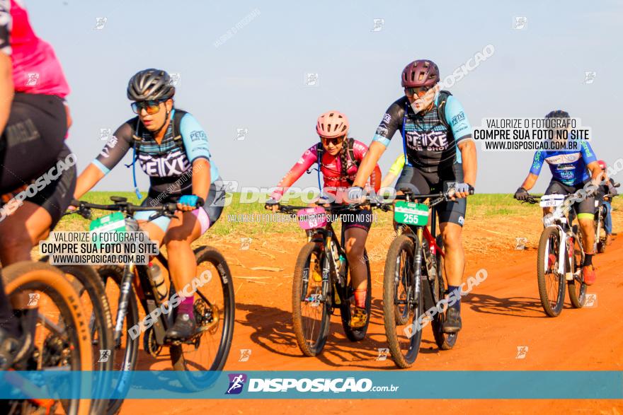 8ª Ultramaratona Pata de Onça - Domingo