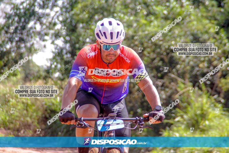 8ª Ultramaratona Pata de Onça - Domingo