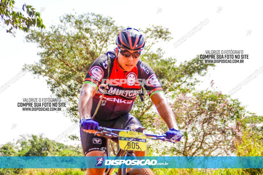 8ª Ultramaratona Pata de Onça - Domingo