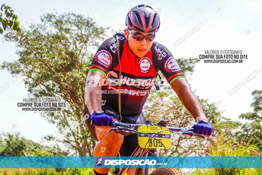 8ª Ultramaratona Pata de Onça - Domingo