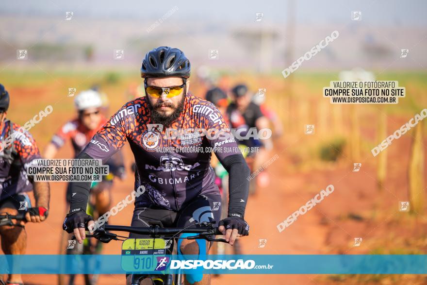 8ª Ultramaratona Pata de Onça - Domingo