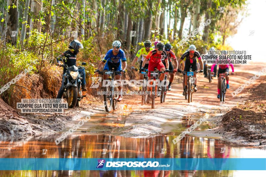 8ª Ultramaratona Pata de Onça - Domingo