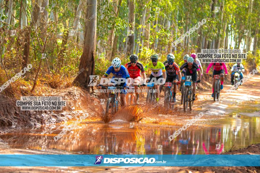 8ª Ultramaratona Pata de Onça - Domingo