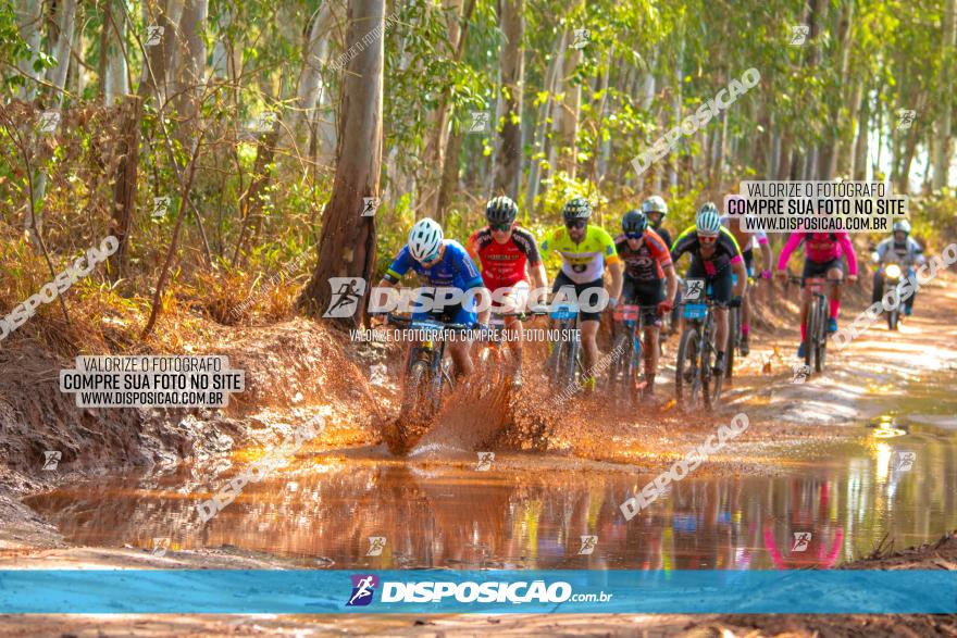 8ª Ultramaratona Pata de Onça - Domingo