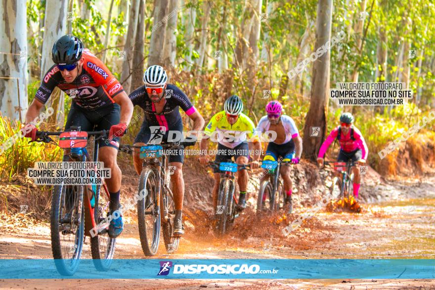 8ª Ultramaratona Pata de Onça - Domingo