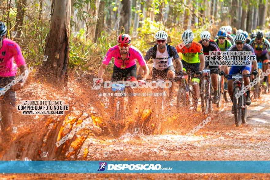 8ª Ultramaratona Pata de Onça - Domingo