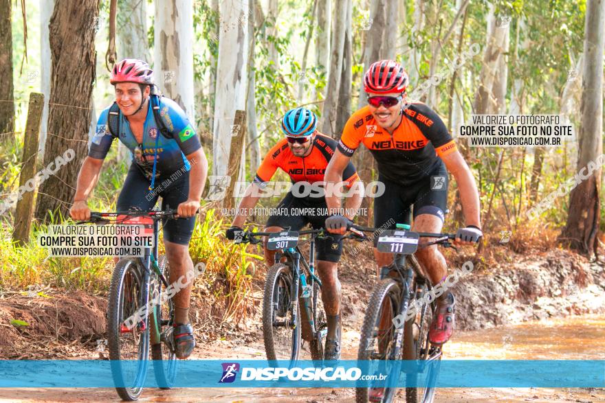 8ª Ultramaratona Pata de Onça - Domingo