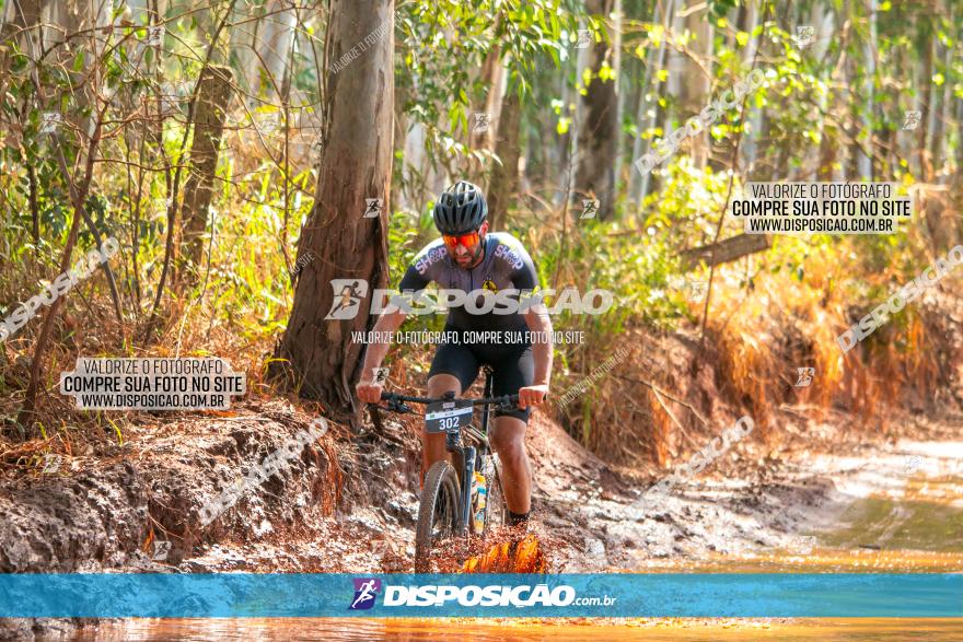 8ª Ultramaratona Pata de Onça - Domingo