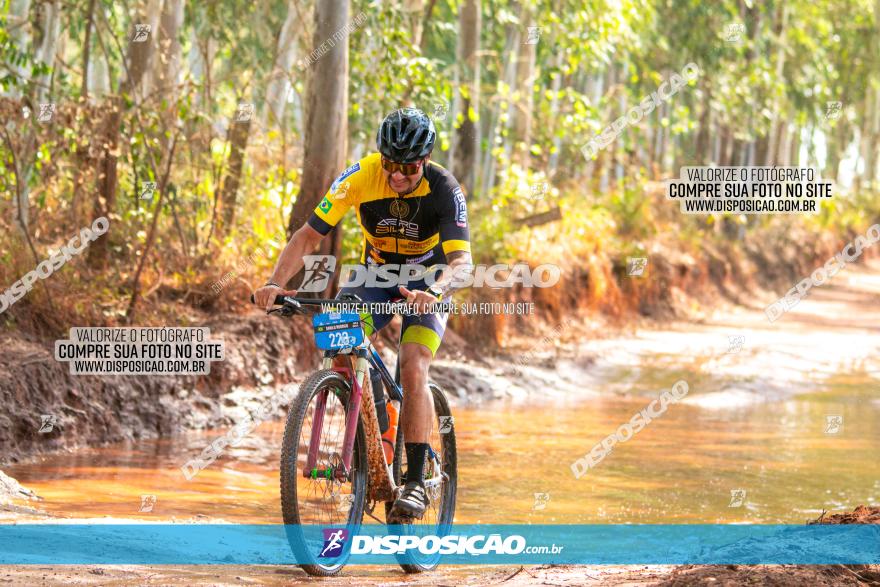 8ª Ultramaratona Pata de Onça - Domingo