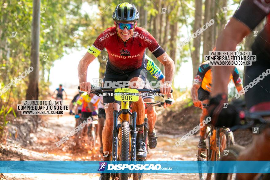 8ª Ultramaratona Pata de Onça - Domingo