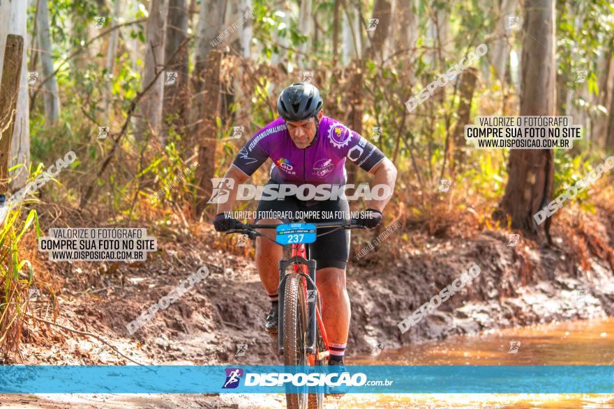 8ª Ultramaratona Pata de Onça - Domingo