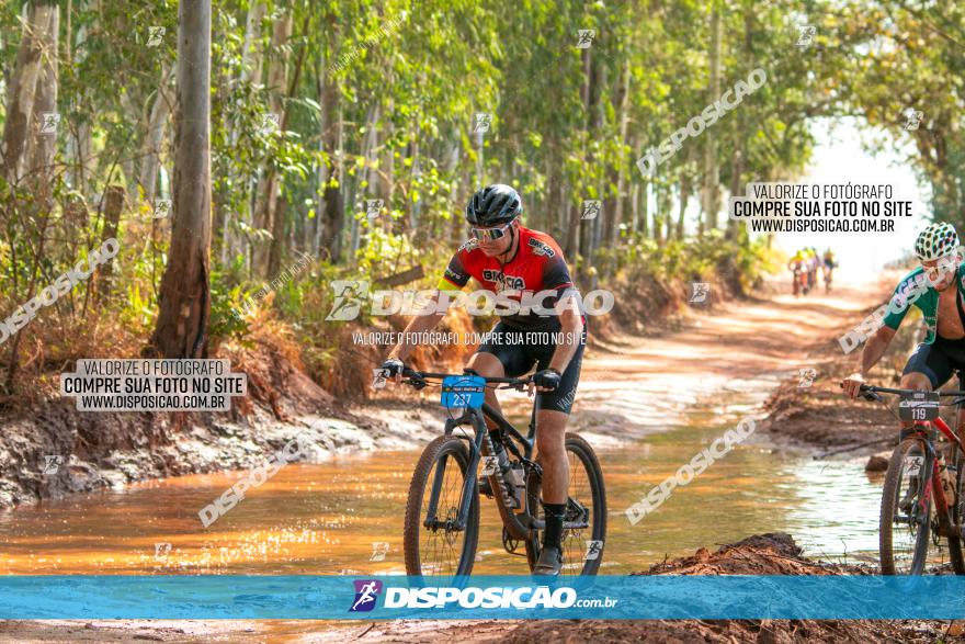 8ª Ultramaratona Pata de Onça - Domingo