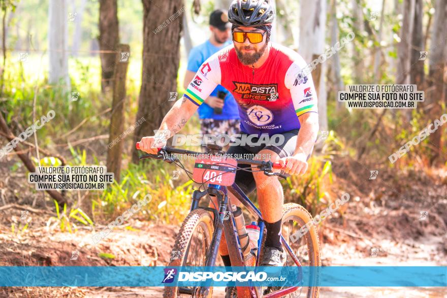 8ª Ultramaratona Pata de Onça - Domingo