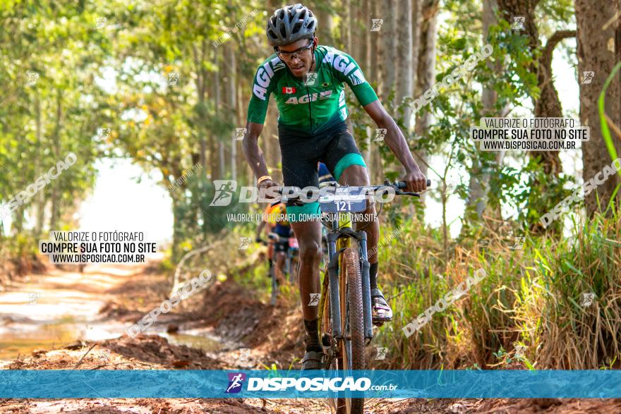 8ª Ultramaratona Pata de Onça - Domingo