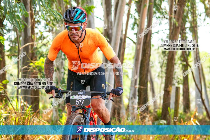 8ª Ultramaratona Pata de Onça - Domingo