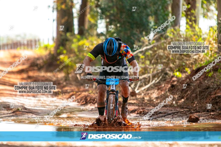 8ª Ultramaratona Pata de Onça - Domingo